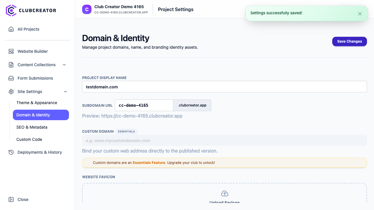 Custom Domain input field